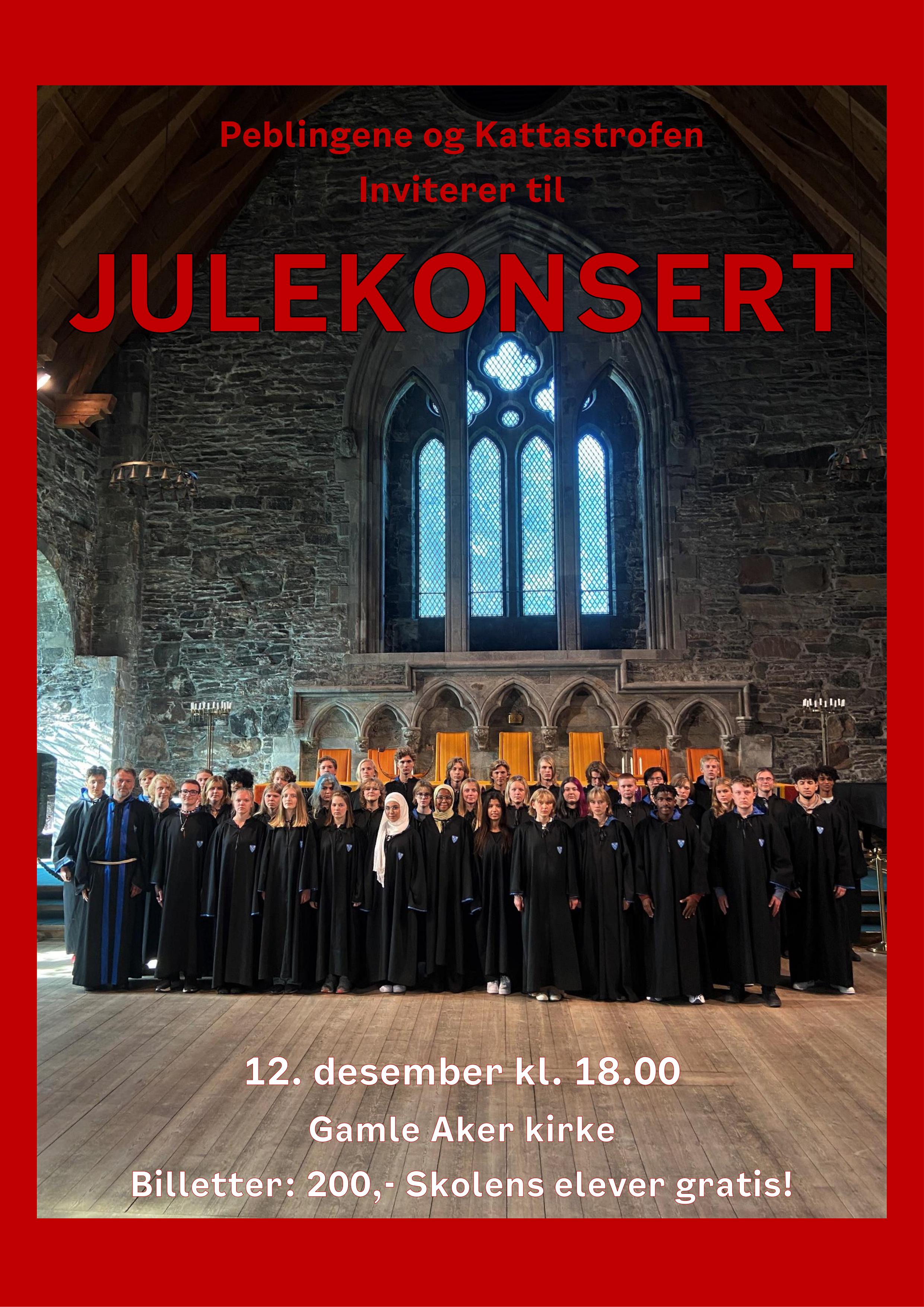 Julekonsert.jpg