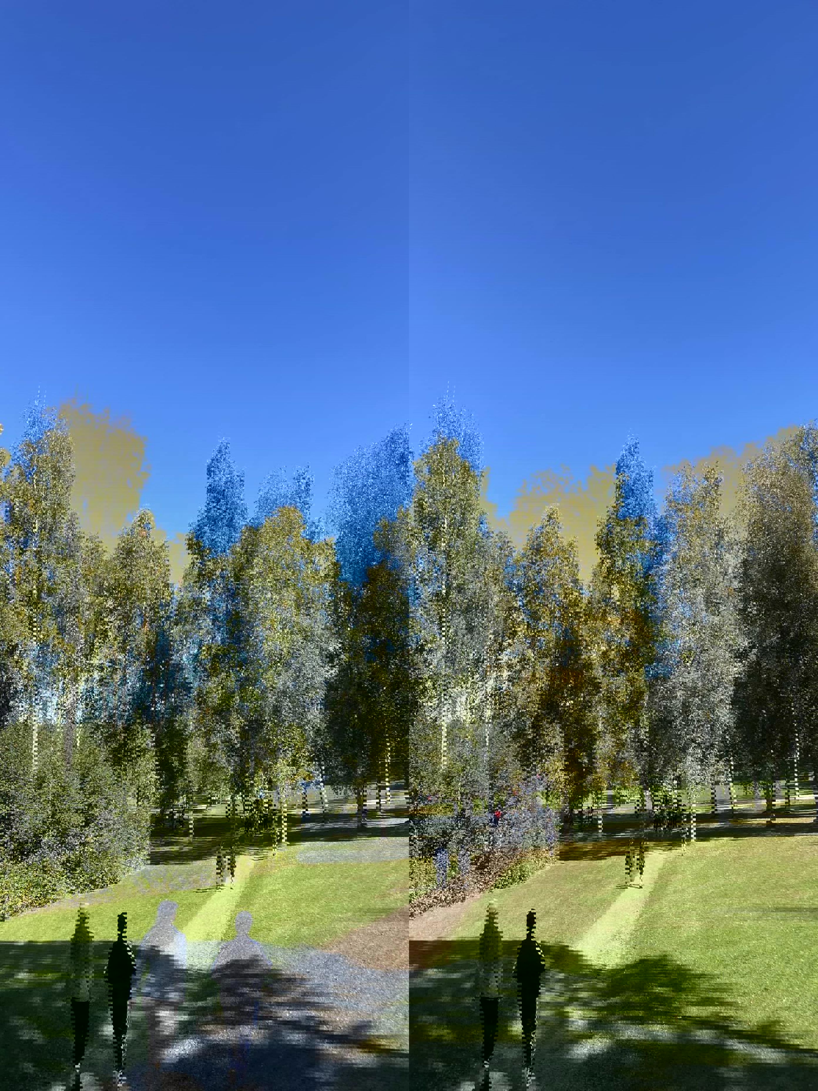 Foto: Regine Lundevall Bergersen Sognsvann rundt