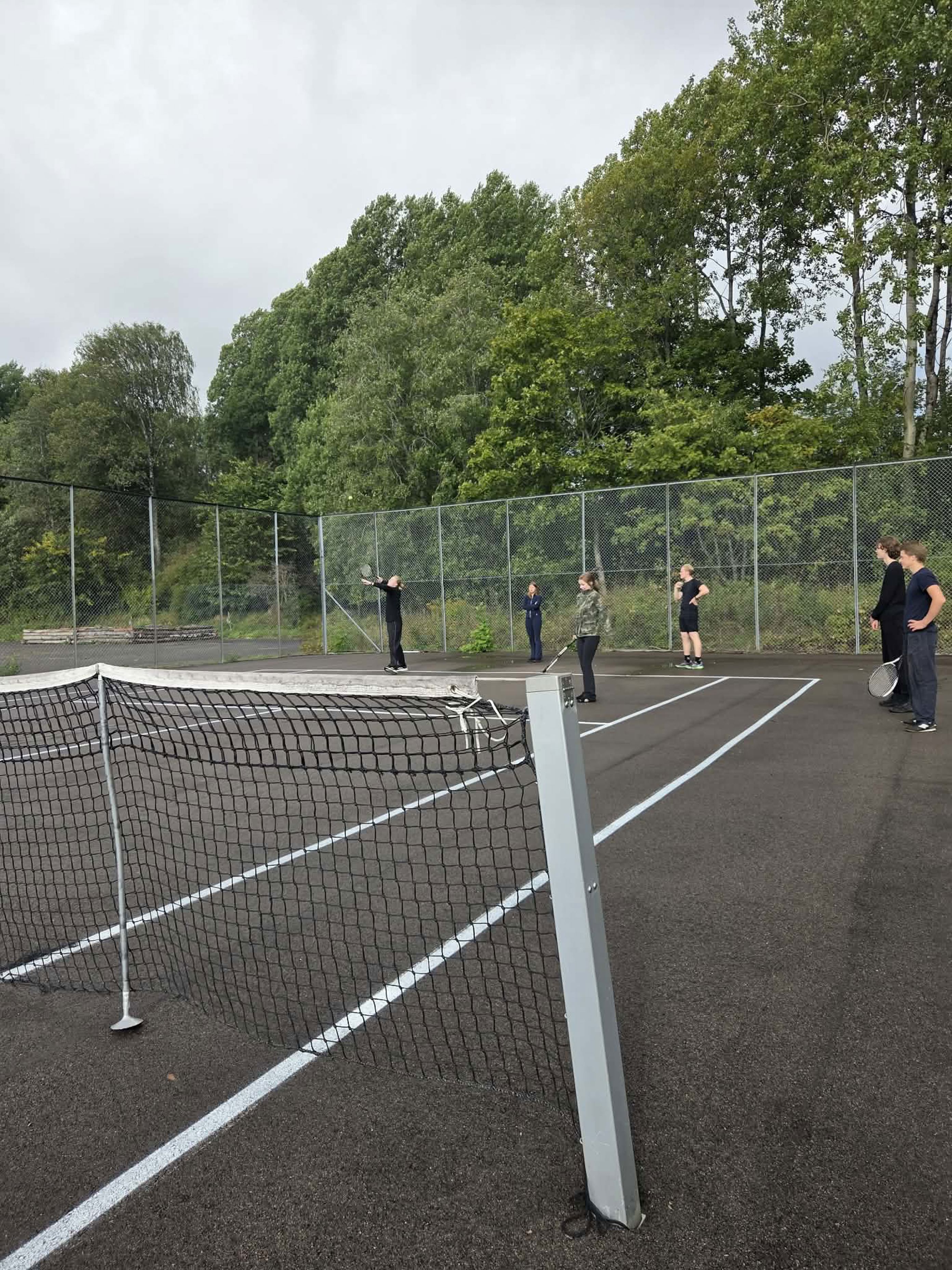 en gruppe mennesker som spiller volleyball