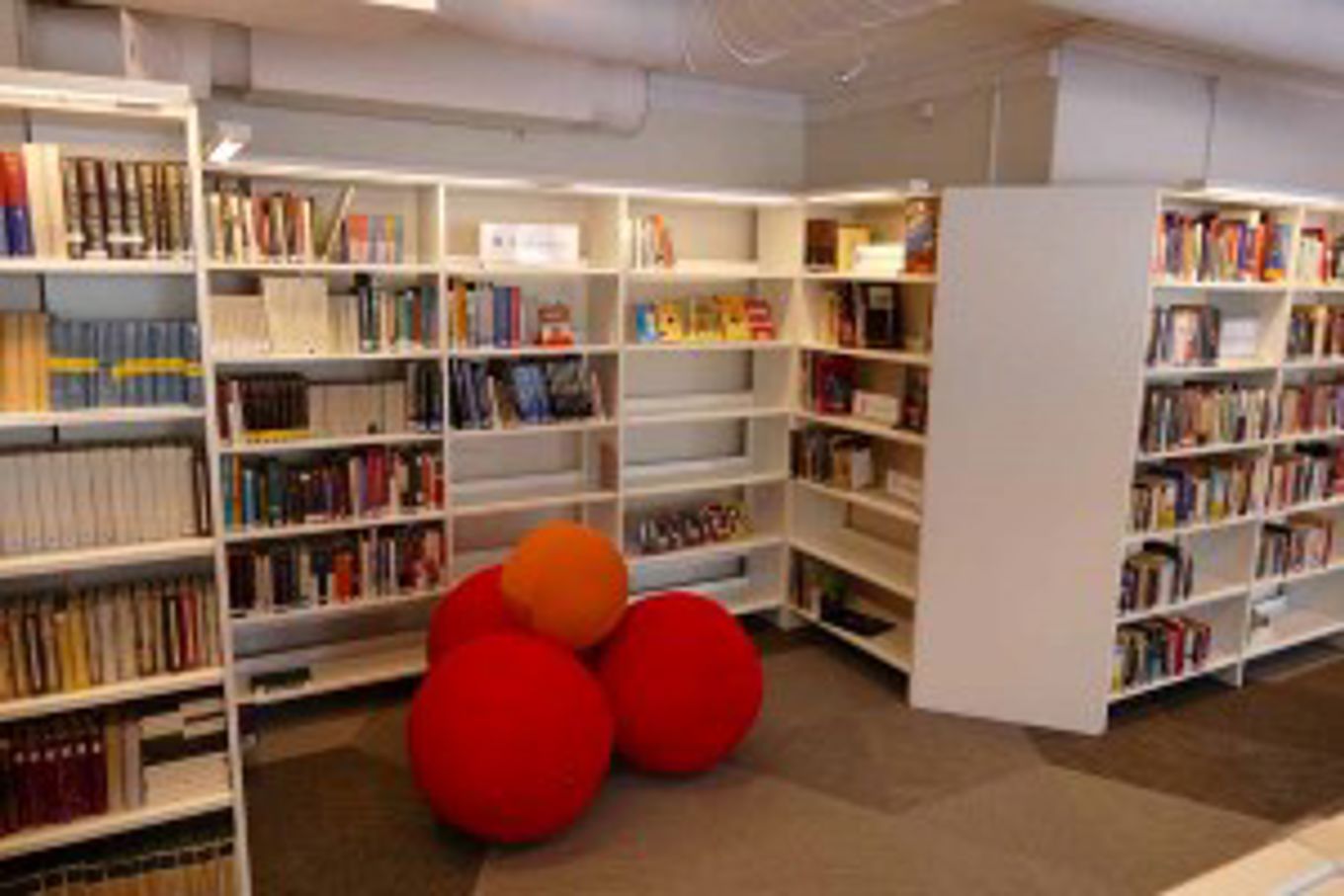 Foto: Skolebibliotekets database Biblioteket