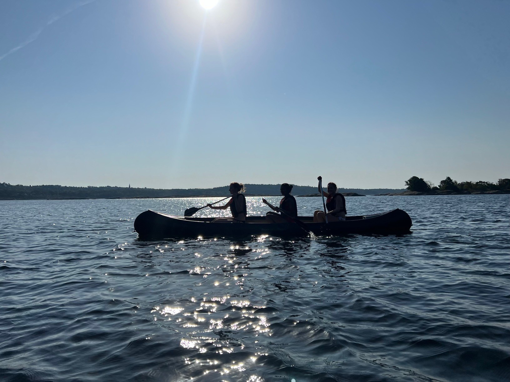 En gruppe mennesker som ror en båt