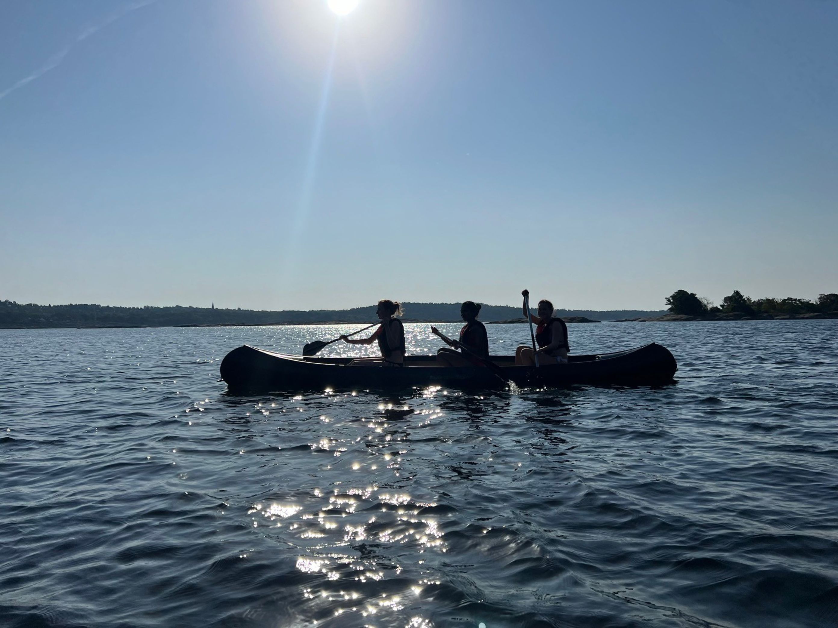 En gruppe mennesker som ror en båt
