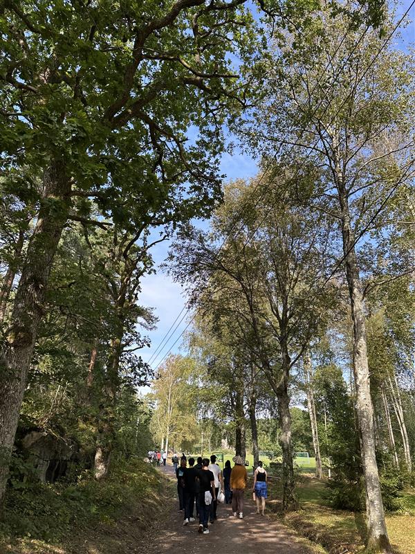 en gruppe mennesker som går på en sti gjennom en skog