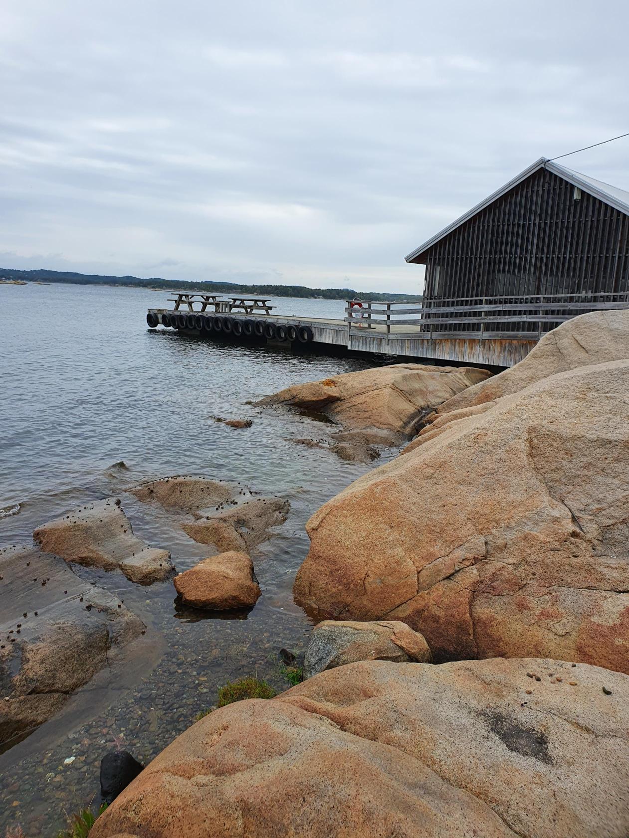 en brygge over en vannmasse