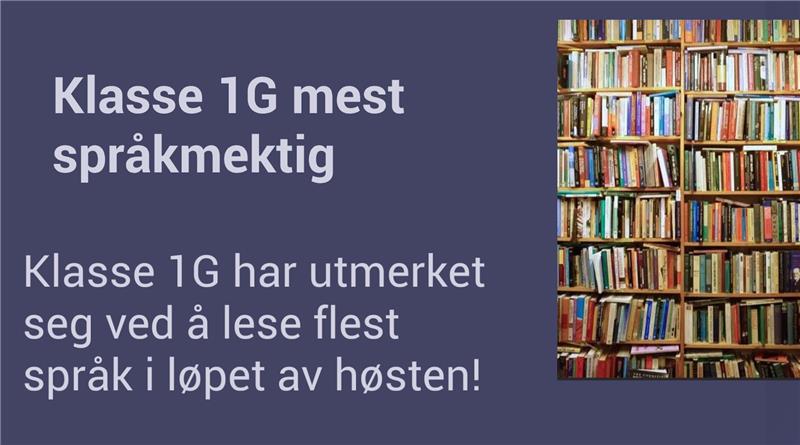 en blå bokhylle med bøker