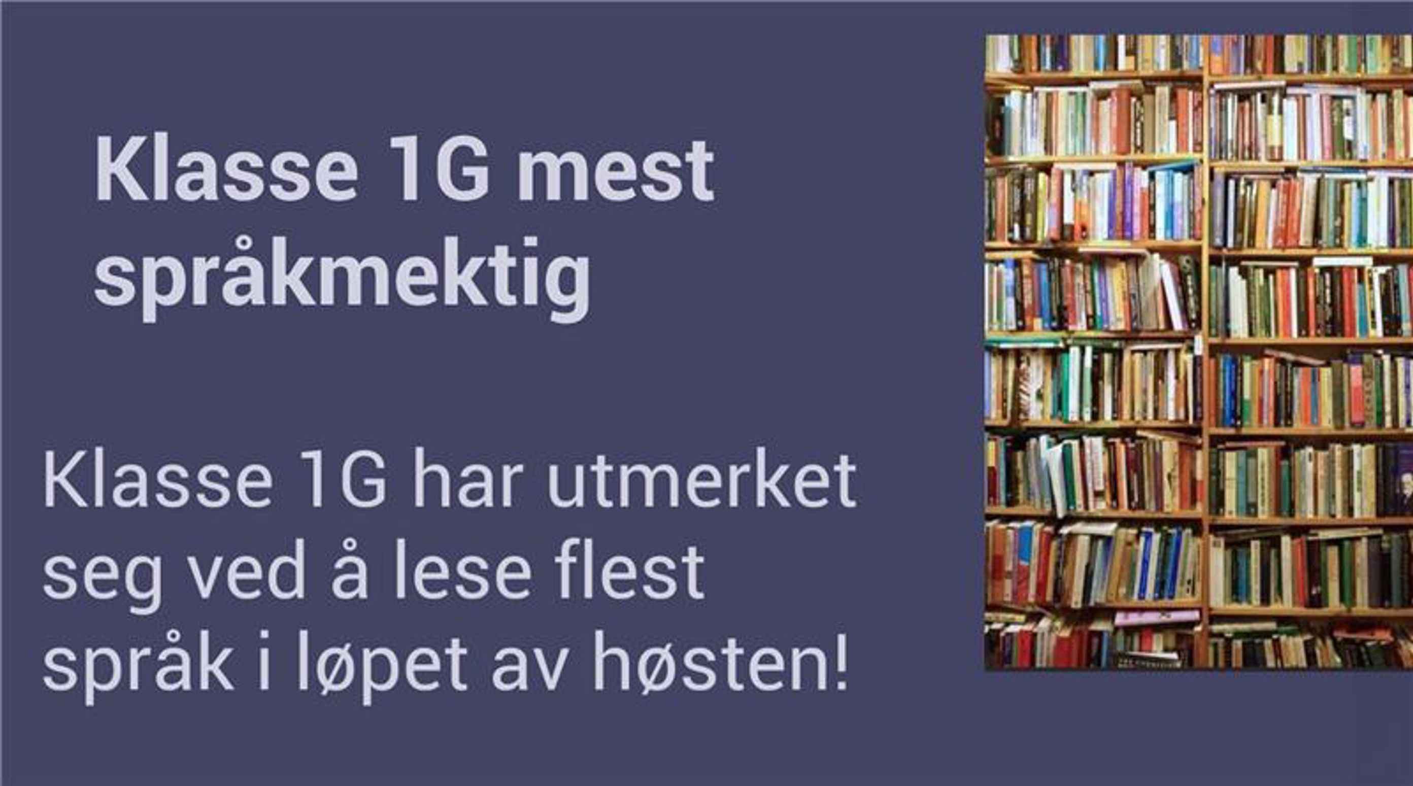 en blå bokhylle med bøker