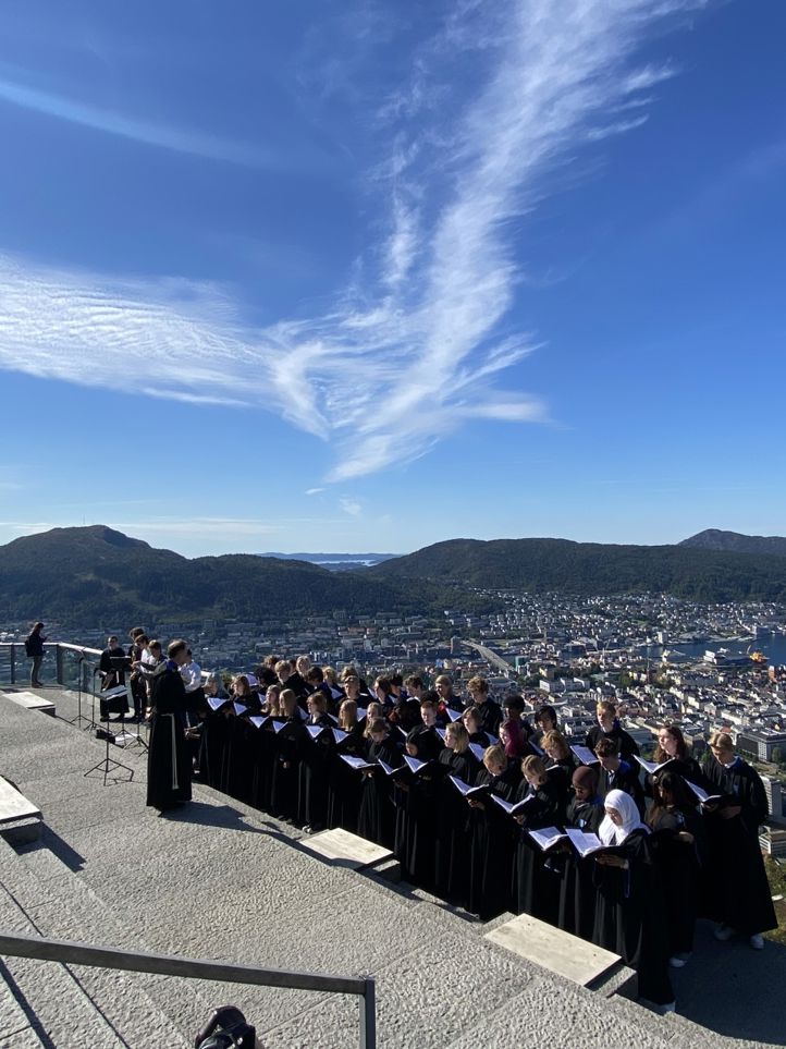 Fløyen