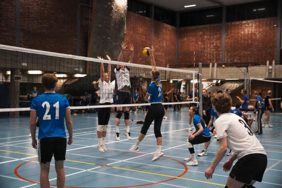 en gruppe mennesker som spiller volleyball