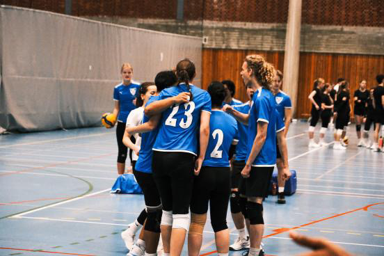 en gruppe mennesker som spiller volleyball