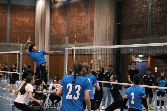 en gruppe mennesker som spiller volleyball