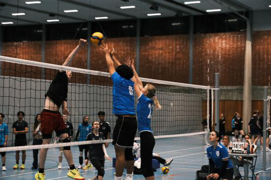 en gruppe mennesker som spiller volleyball