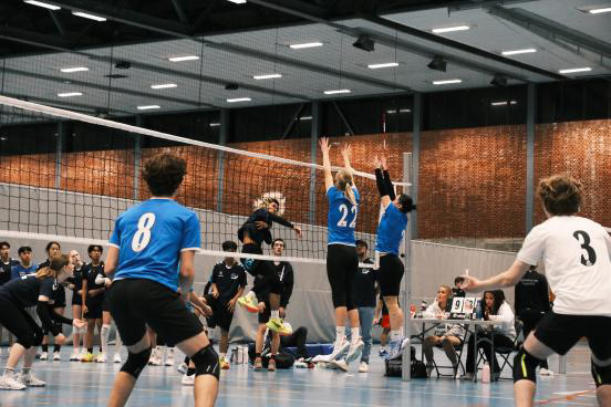 en gruppe mennesker som spiller volleyball