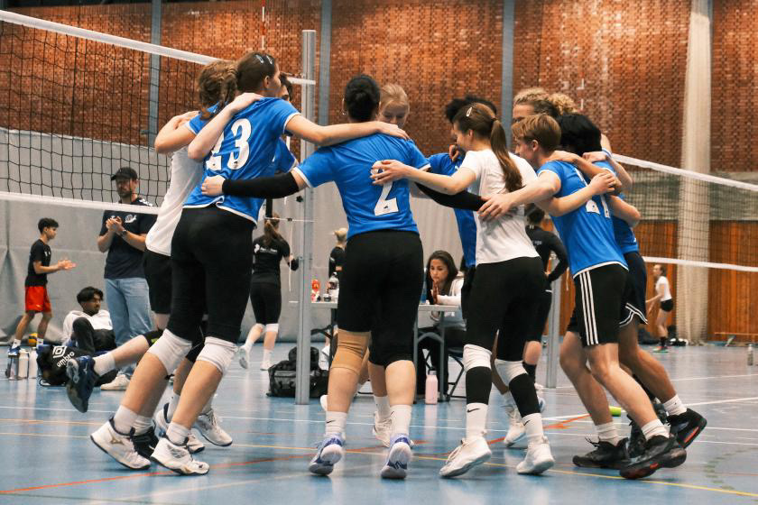 en gruppe mennesker som spiller volleyball